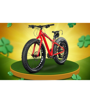 Bicicleta Esportiva